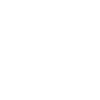 InstagramIcon